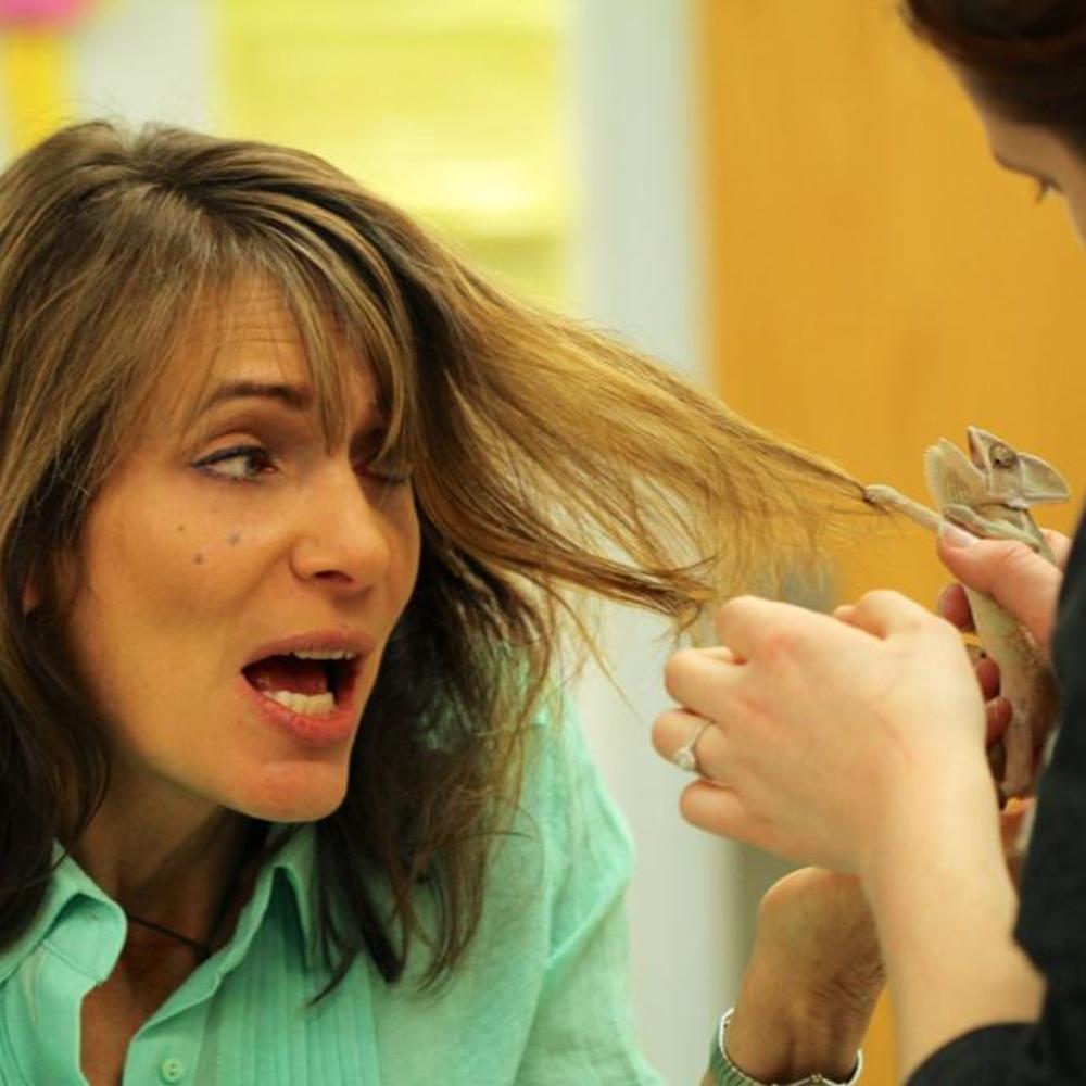 Meet your Posher, Barbara